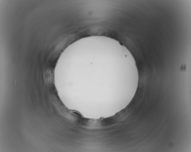 X0000110770335200907061124