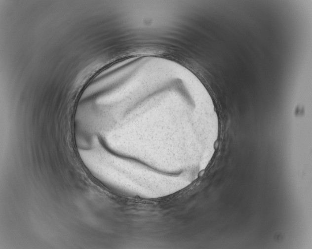 X0000110770337200907061123