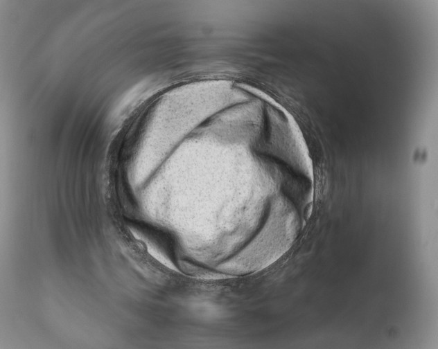 X0000110770339200907061123