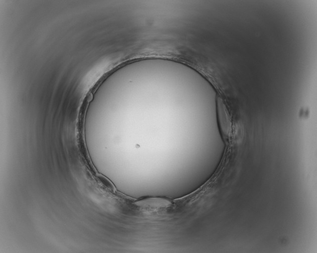 X0000110770340200907061123