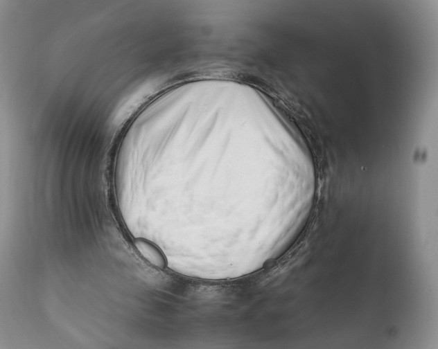 X0000110770341200907061123