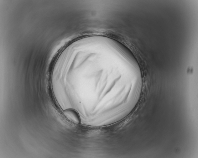 X0000110770342200907061123