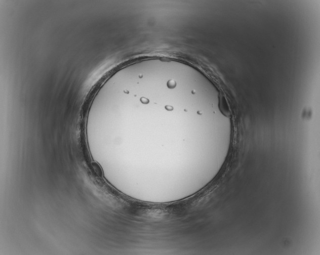 X0000110770344200907061124