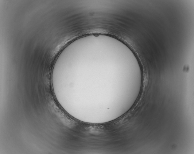 X0000110770345200907061124