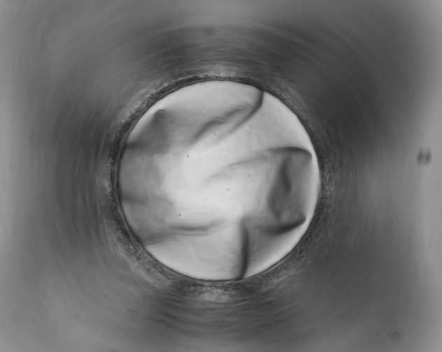 X0000110770347200907061124