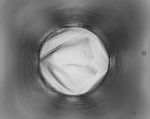 X0000110770349200907061124