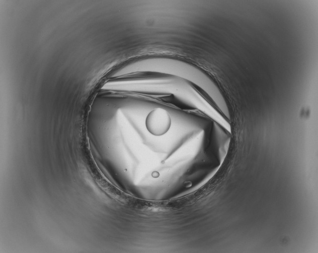 X0000110770352200907061124