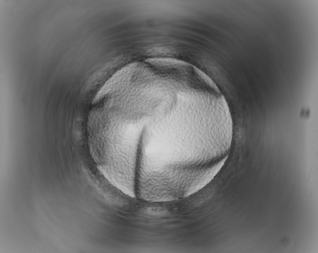 X0000110770353200907061124