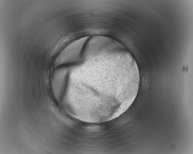 X0000110770357200907061124