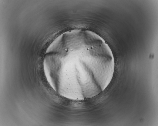 X0000110770359200907061124