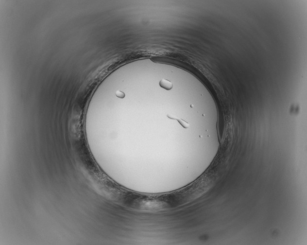 X0000110770360200907061124