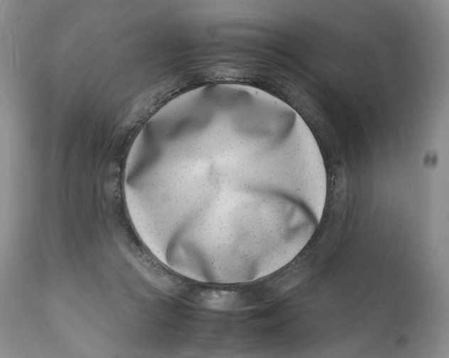 X0000110770361200907061124