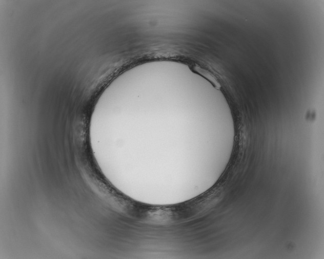 X0000110770362200907061124