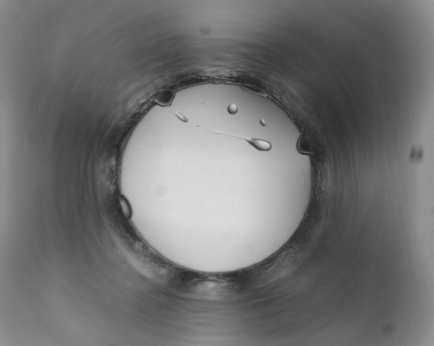 X0000110770364200907061124