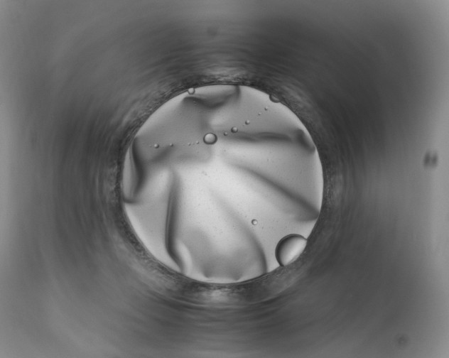 X0000110770365200907061124