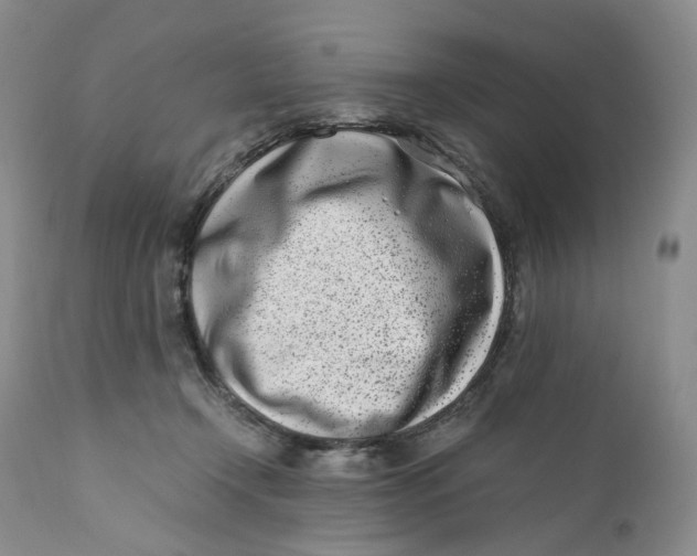 X0000110770366200907061124