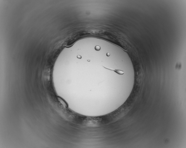 X0000110770368200907061124