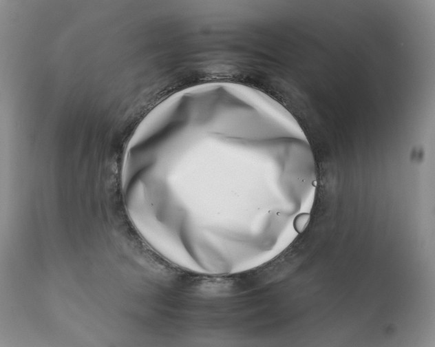 X0000110770369200907061124