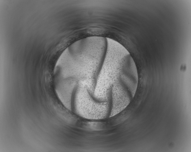 X0000110770371200907061124