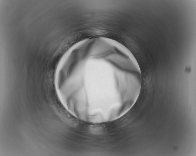 X0000110770373200907061124