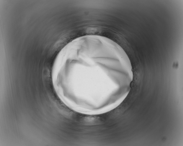 X0000110770375200907061124