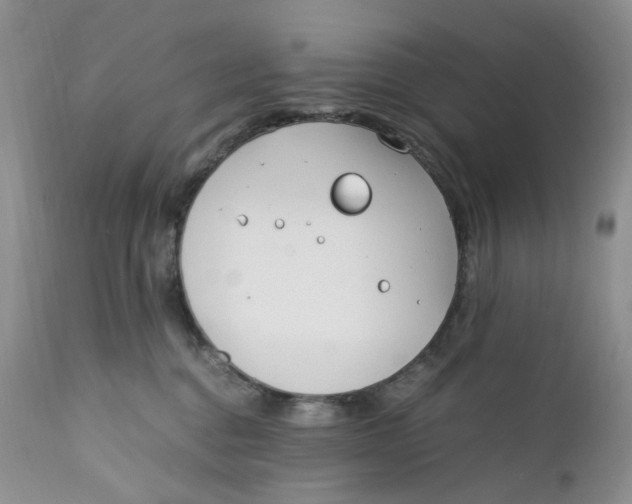 X0000110770376200907061124