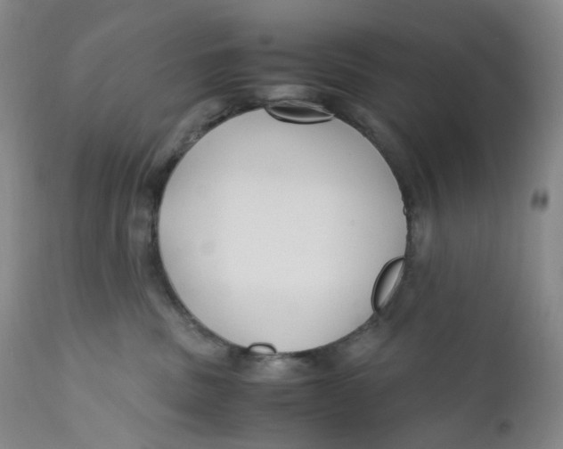 X0000110770379200907061124