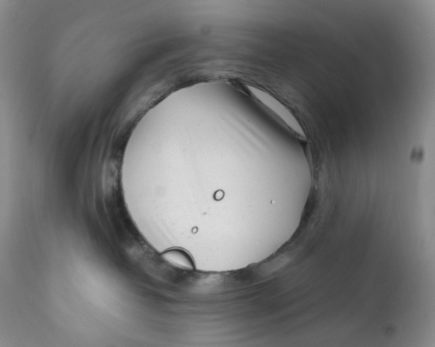 X0000110770382200907061124