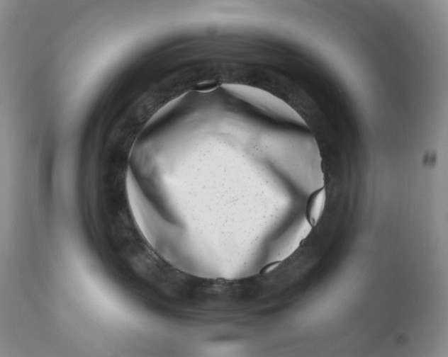 X0000110770383200907061124