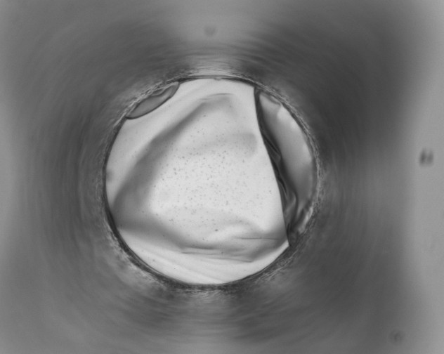 X0000110770385200907061123