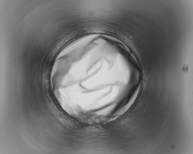 X0000110770386200907061123