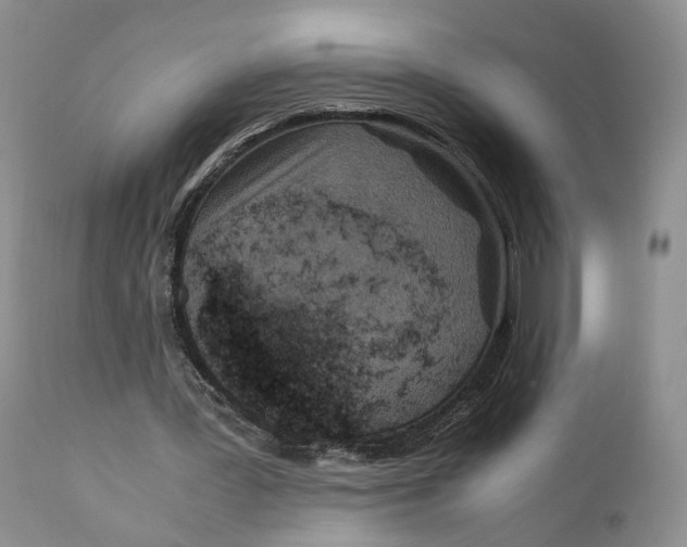 X0000110770387200907061123