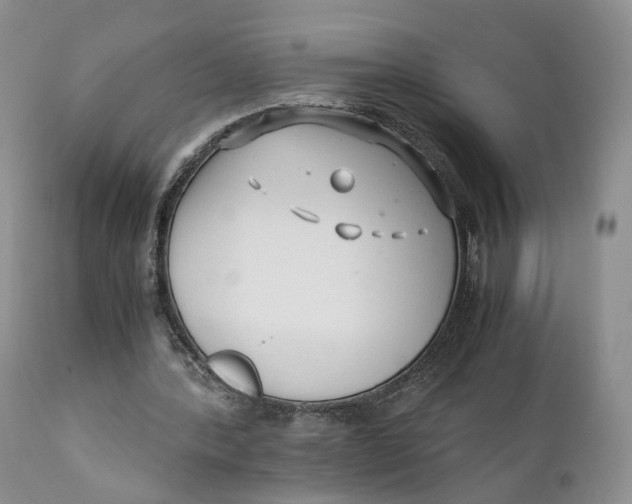 X0000110770388200907061123