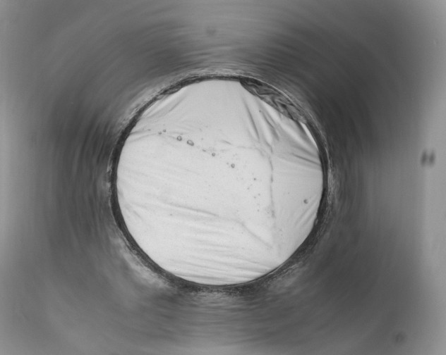 X0000110770389200907061123