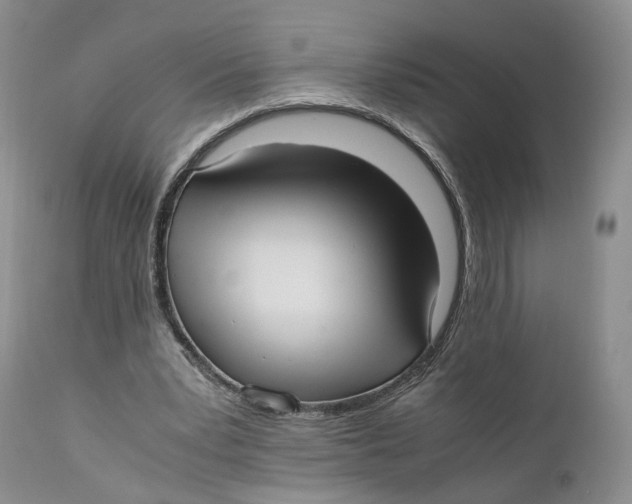 X0000110770391200907061123