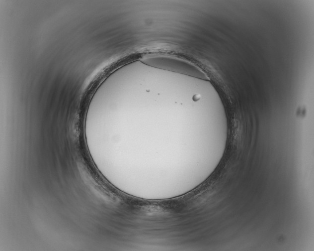 X0000110770392200907061123