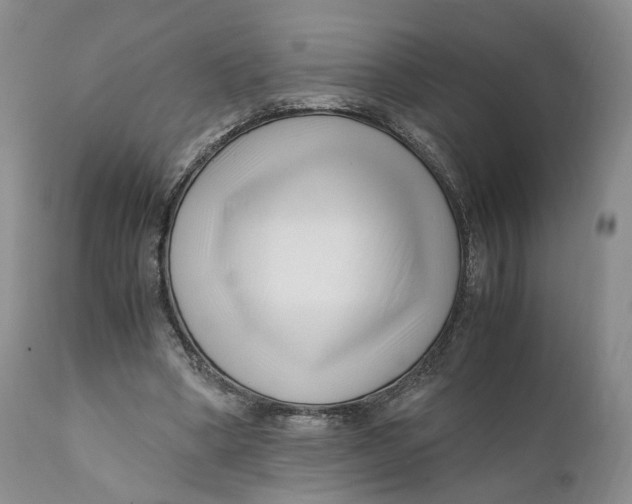 X0000110770394200907061123