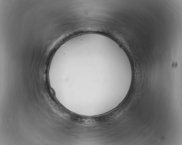 X0000110770395200907061123