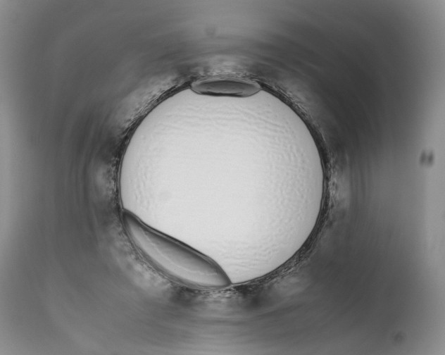 X0000110770401200907061123