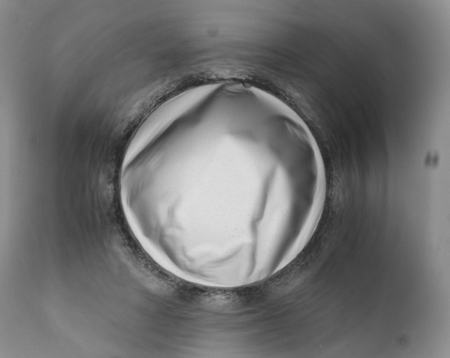 X0000110770402200907061123