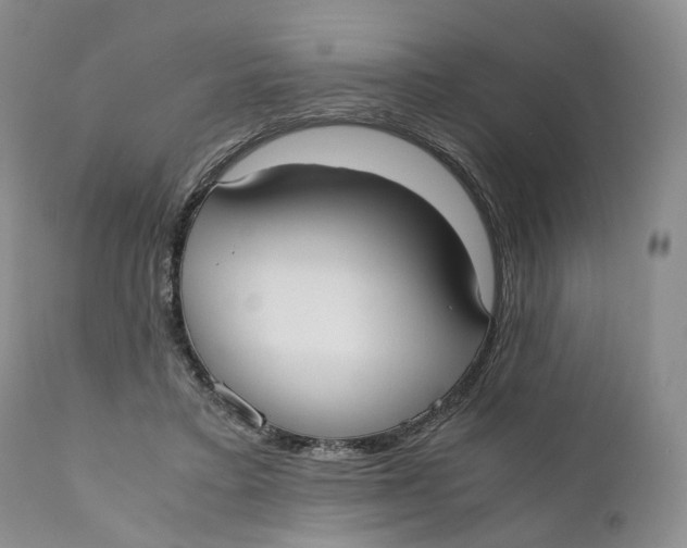 X0000110770403200907061123