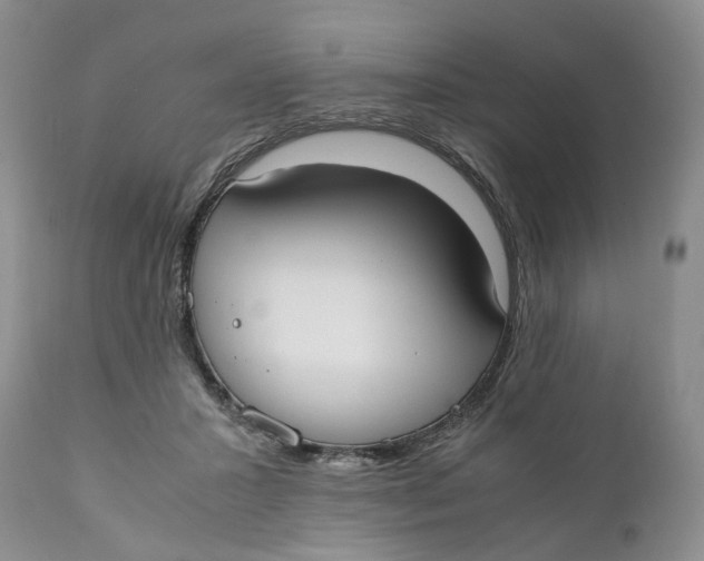 X0000110770407200907061123