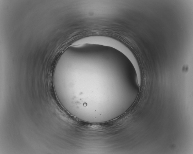 X0000110770409200907061123