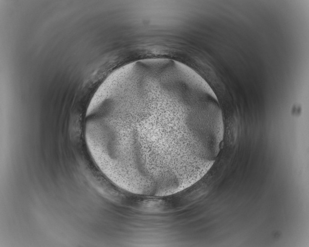 X0000110770410200907061123