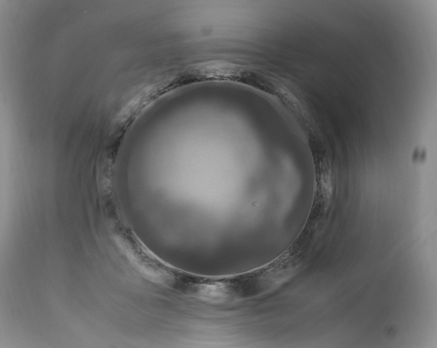 X0000110770411200907061123