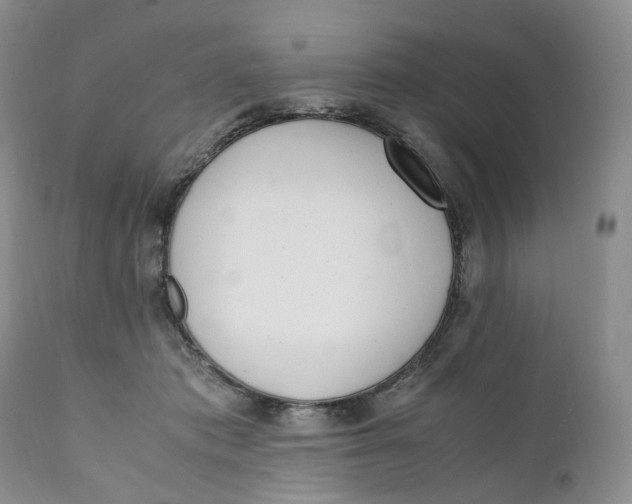 X0000110770413200907061123