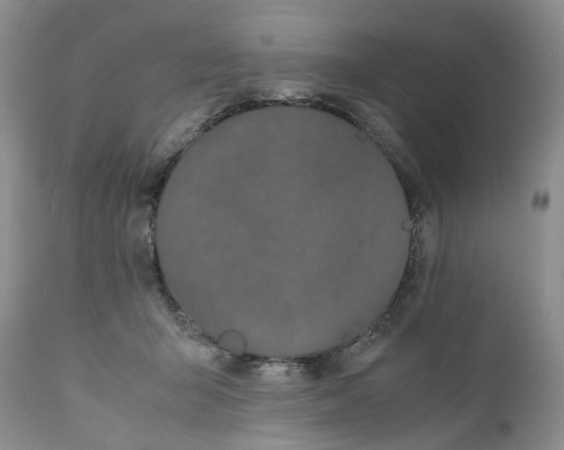 X0000110770415200907061123