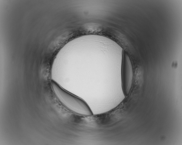 X0000110770417200907061123