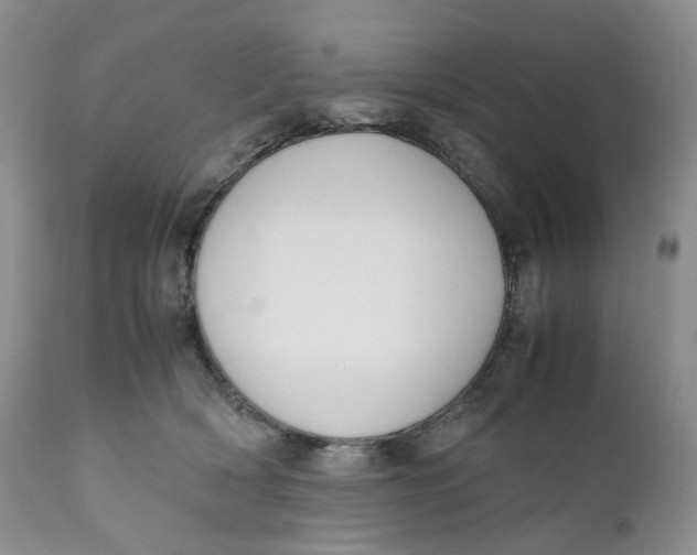 X0000110770418200907061123