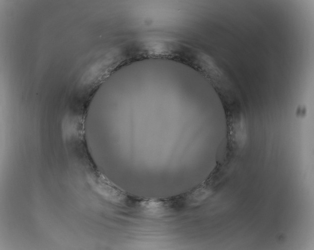 X0000110770419200907061123